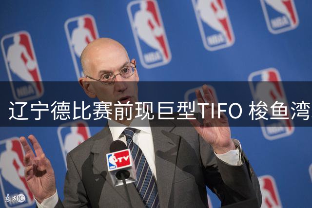 辽宁德比赛前现巨型TIFO 梭鱼湾球场致敬斯坦丘