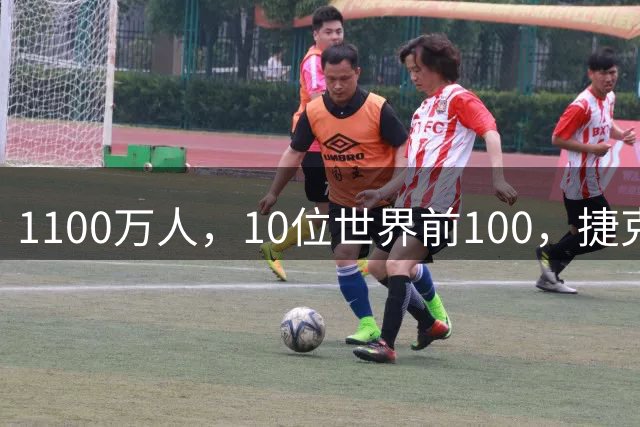 1100万人，10位世界前100，捷克网球缘何如此成功？